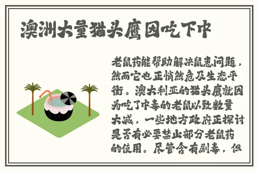 蜜芽新选址2